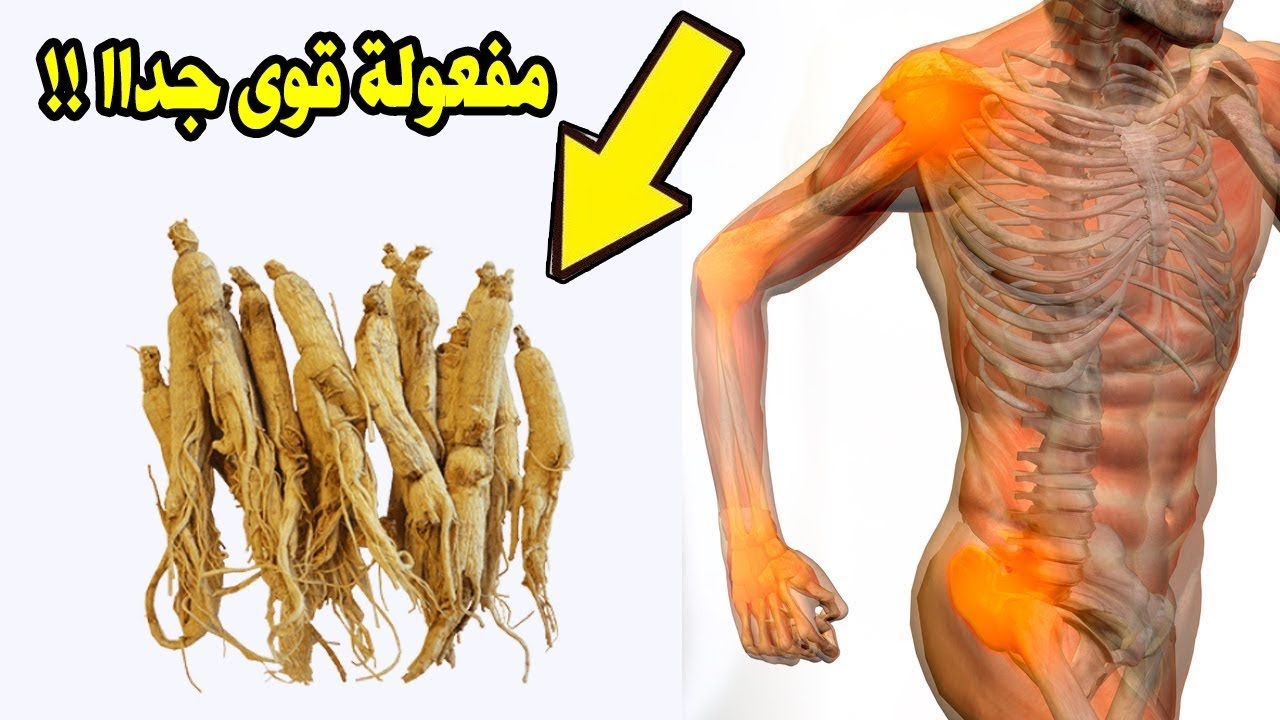 وداعا للفياجرا بعد الأن .. هذه العشبة السحرية متوفرة بقوة منشط جنسي طبيعي 100% تنهي ضعف الرجال بسرعة عالية ؟