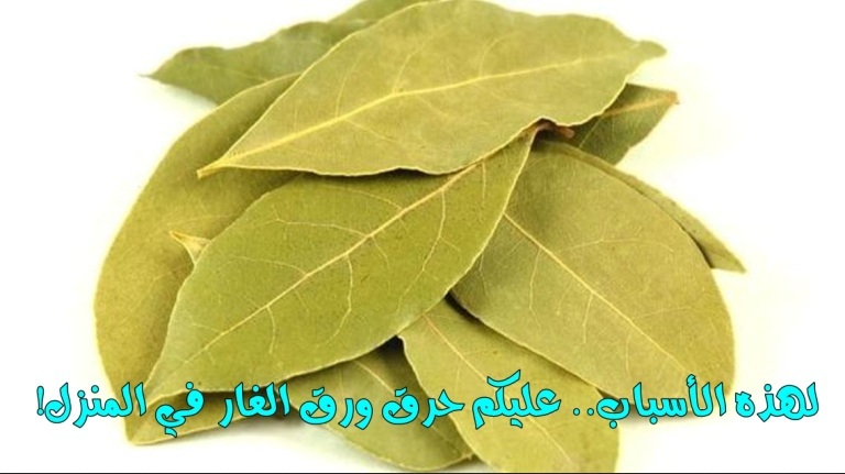ورق الغار