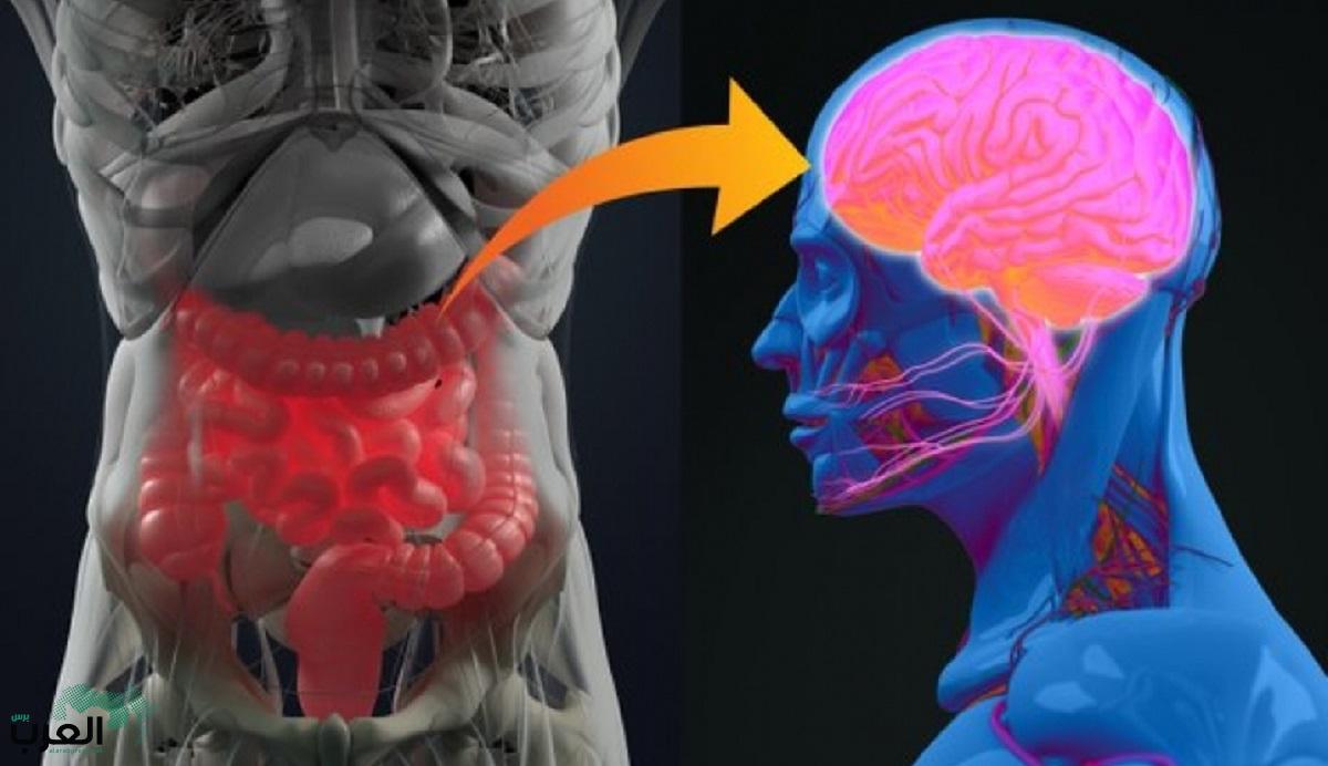 طعام شائع يدمر خلايا الدماغ ويسبب عجزاً هائلاً في الذاكرة  .. تعرف عليه وتجنبه فورا