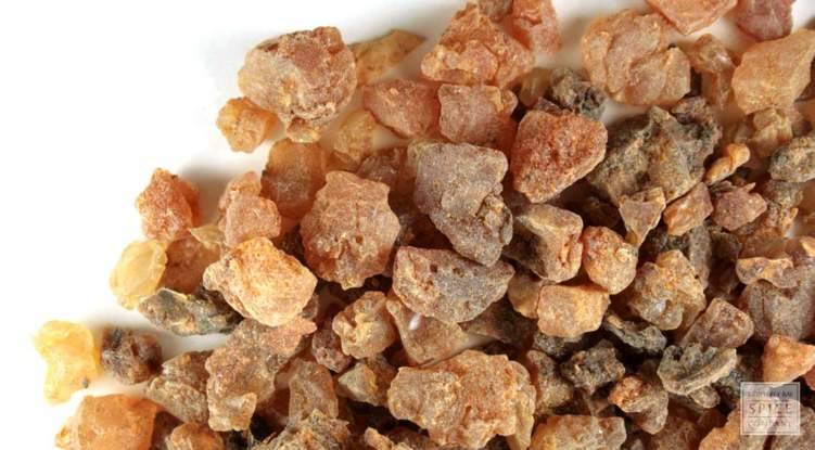 طبيب سعودي يكشف عن ثمرة معجزة تعالج جروح السكري والتقرحات والتهابات المعدة والقولون