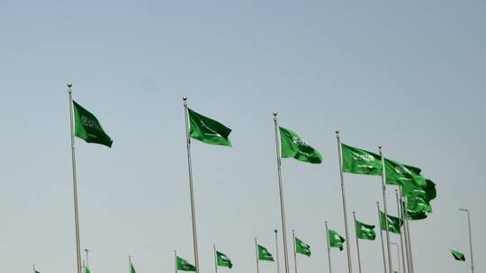مفاجاة سارة تعلنها السعودية.. تعلن الغاءسعودة هذه المهن المربحة وتسمح للوافدين العمل فيها!!