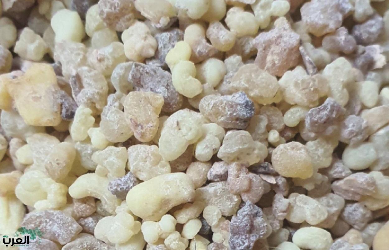 فوائد جبارة و غير متوقعة لحرق 3 قطع من لبان الدكر  يوميا في المنزل .. لو عرفتم السر ستندهشون؟