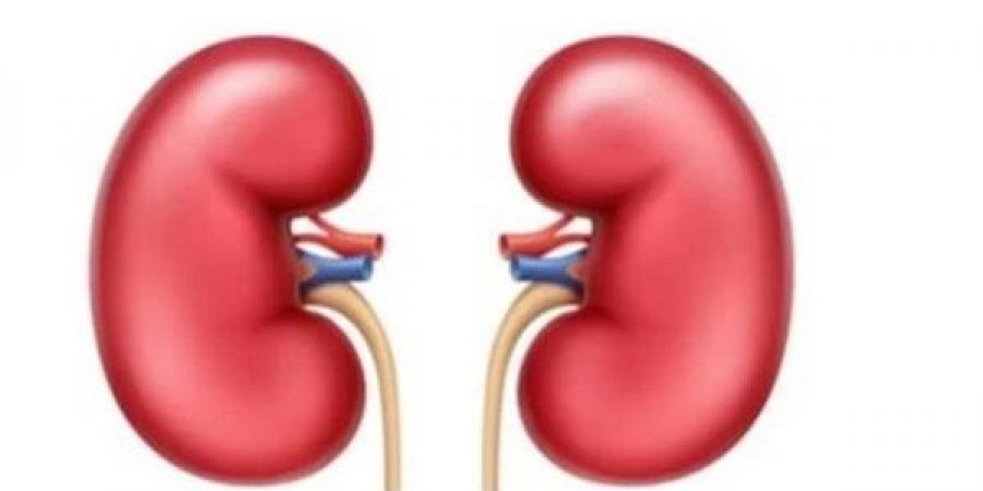 لا تتجاهلها.. علامة صادمة تكشف عن مرض مميت في الكلى