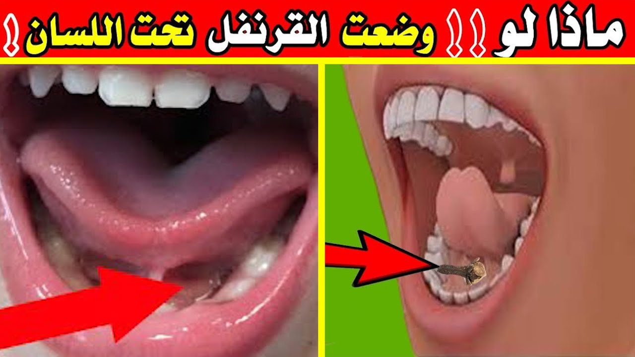 معجزة ربانية:  ماذا يحدث عند وضع حبة من القرنفل تحت اللسان قبل النوم! 