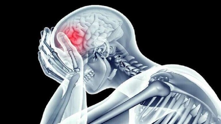 لاتتجاهل واحذر الاقتراب منه.. طعام شائع يدمر خلايا الدماغ ويسبب عجزاً هائلاً في الذاكرة خلال شهر واحد فقط 