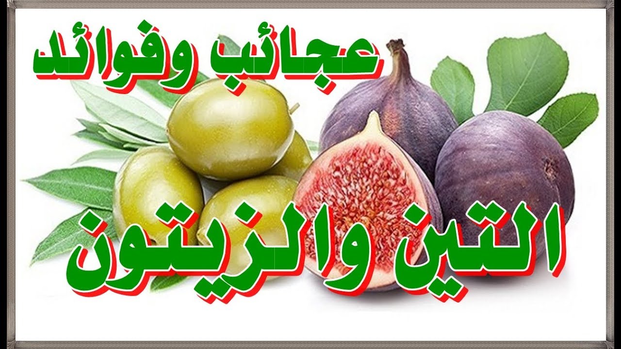 وكالة عالمية تكشف عن المعجزة .. هذا ما يحدث لجسمك عند تناول التين والزيتون معاَ ؟.. عجائب شتدهشك
