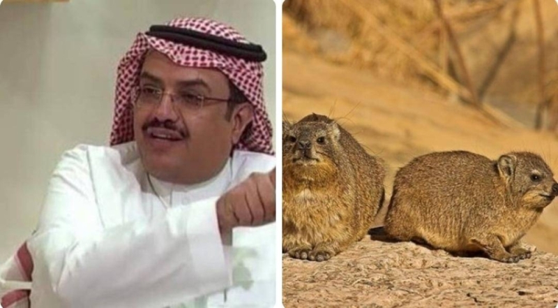 استشاري سعودي شهير يكشف مفاجأة ..هل لحم ومرقة الوبر يعالج السكري وأمراض القلب؟