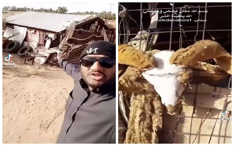 شاهد سعودي يعثر على “عشة” مهجورة وسط الصحراء.. وعندما اقترب منها كانت المفاجأة المرعبة!..صور