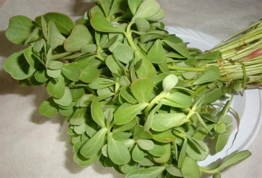 الرجلة