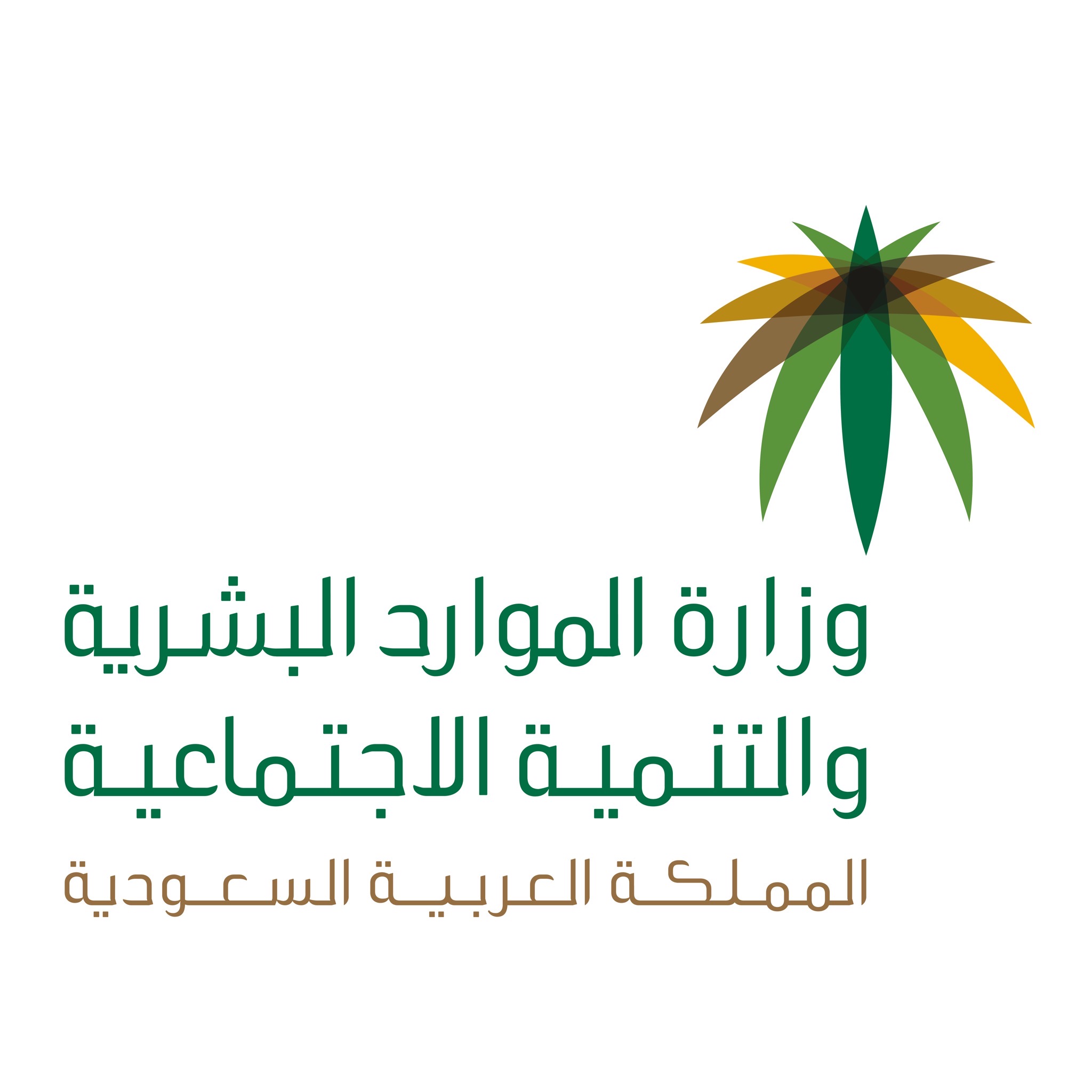 بشرى ضخمة من السعودية للجميع.. احصل على أي وظيفة من اليوم بدون هذه الإجراءات