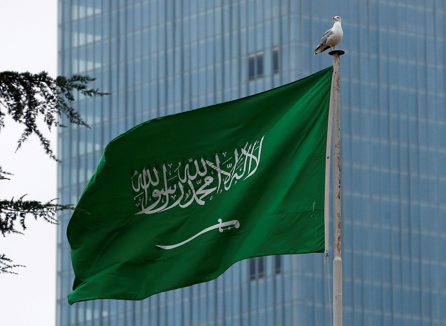 هذه هي مدة صلاحية تأشيرة الزيارة العائلية بالمملكة العربية السعودية 