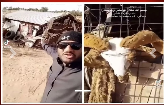 شاب من السعودية عثر على “عشة” مهجورة وسط الصحراء.. وعندما اقترب منها حدثت المفاجأة الصادمة