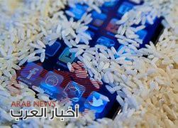 نقع الأرز في الماء