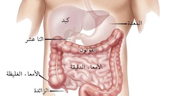 لمرضى القولون .. نصيحة طبية  بالابتعاد عن اربعة أطعمة فوراً .. تعرف عليها
