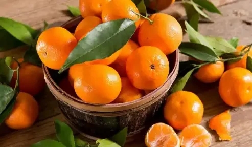 لن تصدق ماذا يحصل لجسمك عند تناول اليوسفي يومياً وما هي الأمراض التي يعالجها!