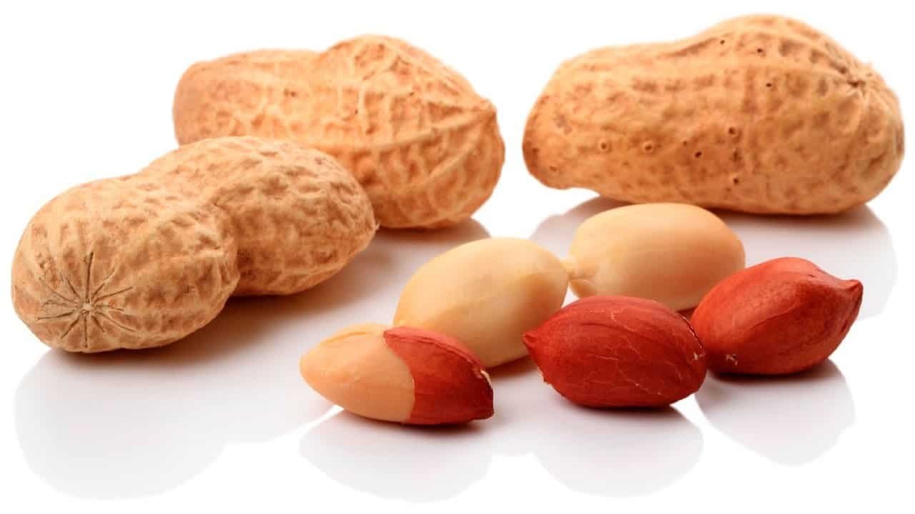 الفول السوداني 