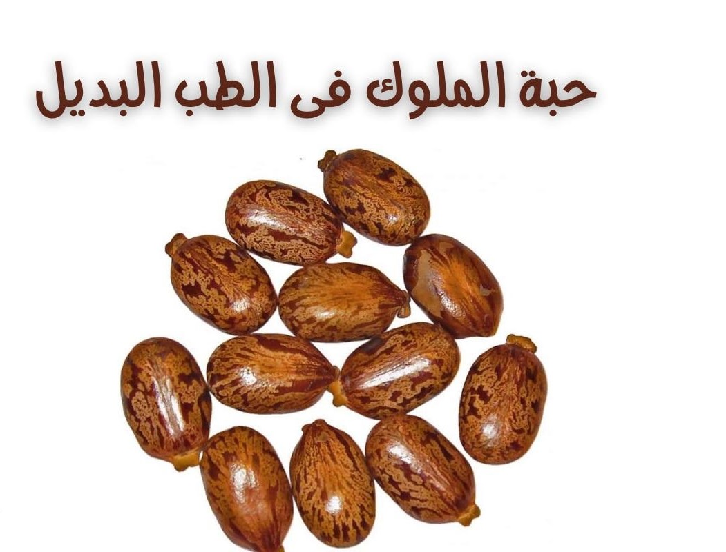  نعمة من الله .. عشبة جبارة تعالج النقرس وآلام المفاصل وانسداد الأمعاء والأرق والكثير من الأمراض بدون الأدوية .. (طرق استخدامها)