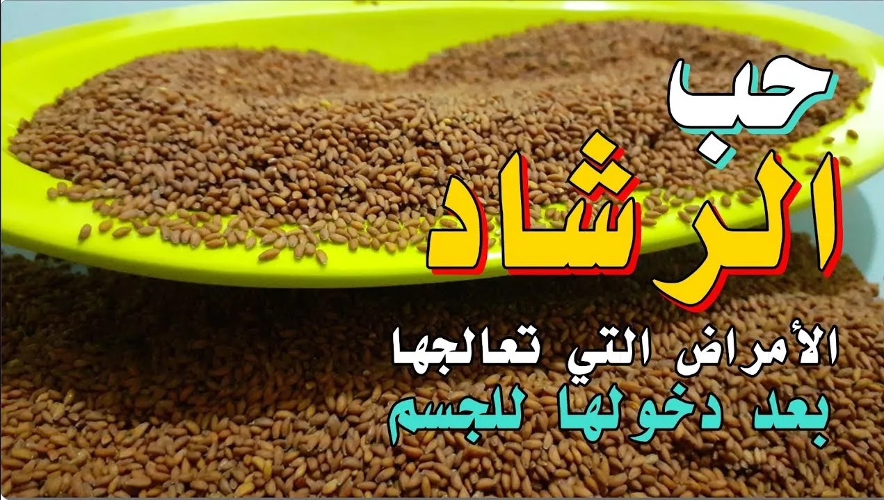 حب الرشاد
