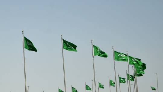 السعودية تلقي القبض على عدد من الوافدين بينهم من الجنسية اليمنية..الرقم صادم
