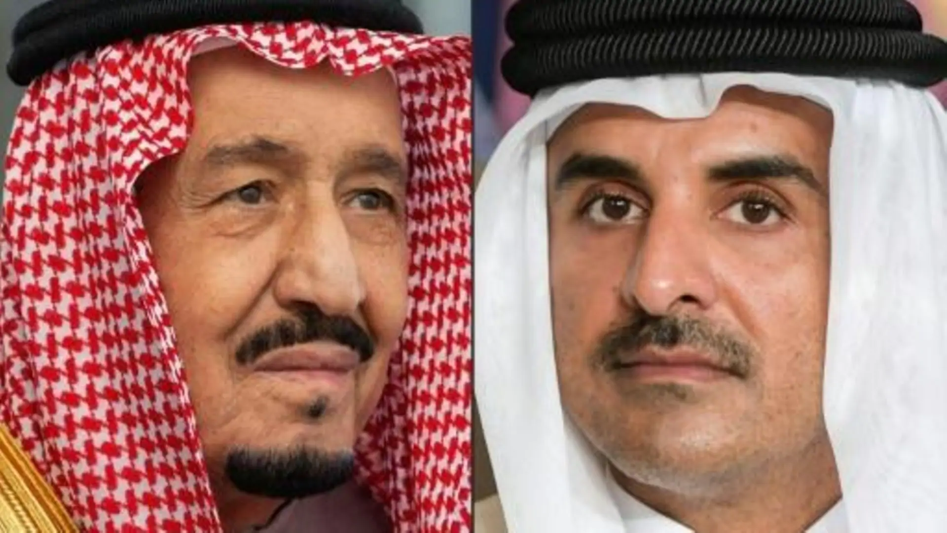 الملك سلمان والأمير تميم