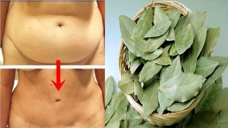 « ورق الغار».. معجزة ستجعل بطنك مسطحاً وشعرك كثيف وناعم خالي من الشيب إذا استخدمته بهذه الطريقة !