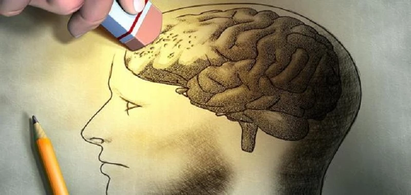 في كل بيت عربي.. عشبة بسيطة تقوي الذاكرة وترجع الشايب شباب خلال فترة قياسية