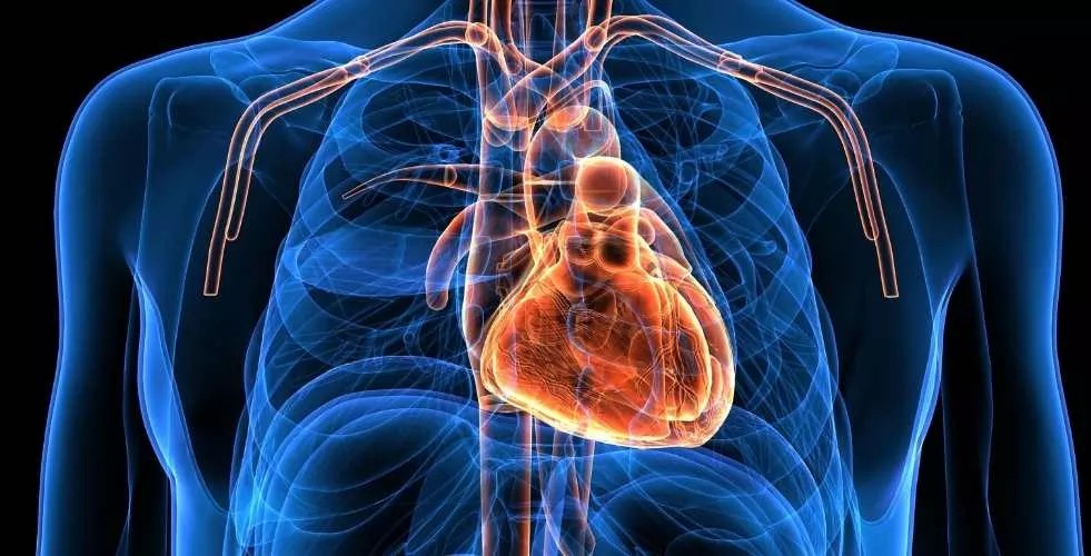 استشاري سعودي مختص يكشف عن 8 أركان لصحة القلب..تعرف عليها الآن لسلامتك