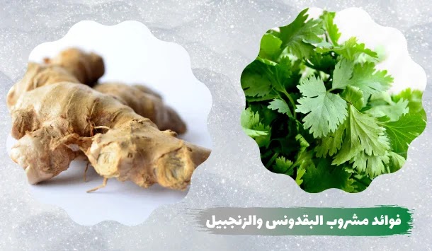 الزنجبيل والمقدونيس