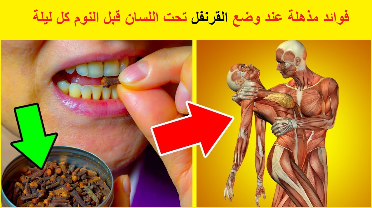 القرنفل تحت اللسان