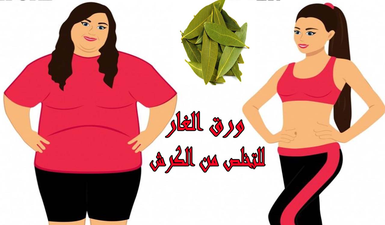 ورق الغار