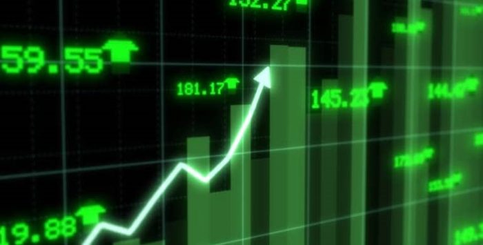 تعرف على اهم اسهم النمو الحالية في سوق الاسهم السعودي